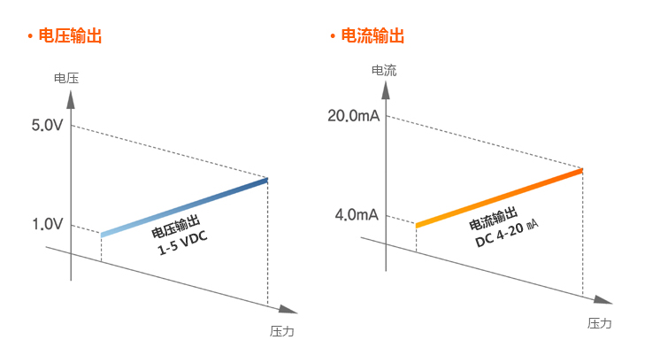 PSS-6.jpg